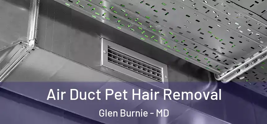  Air Duct Pet Hair Removal Glen Burnie - MD