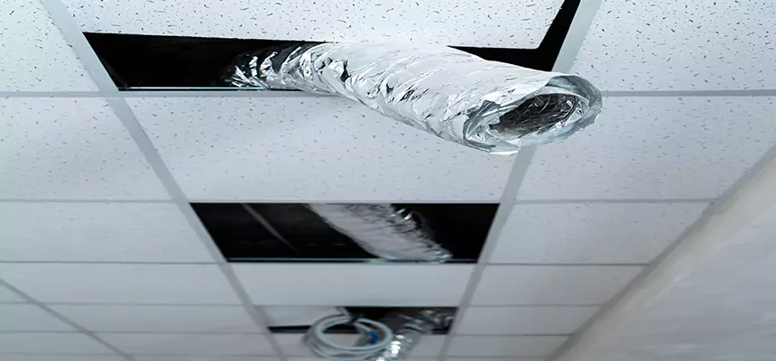 Our Air Duct Pet Hair Removal Services in Glen Burnie, MD