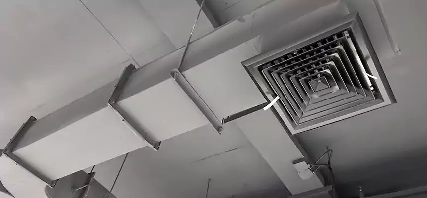 Restorative Allergy Relief Vent Cleaning – Coil, Blower & Housing Detail in Glen Burnie