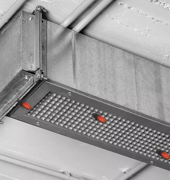 About Air Duct Cockroach Removal in Glen Burnie, MD