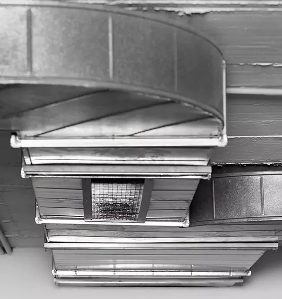 Professional Air Duct Pet Hair Removal in Glen Burnie, MD